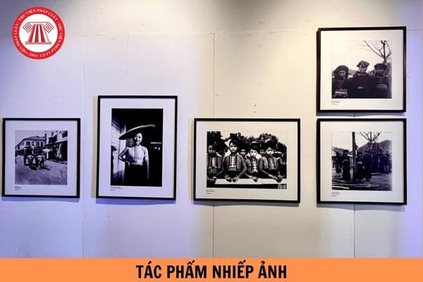 Hướng dẫn trình tự thủ tục đề nghị cấp giấy phép đưa tác phẩm nhiếp ảnh từ Việt Nam ra nước ngoài triển lãm mới nhất?