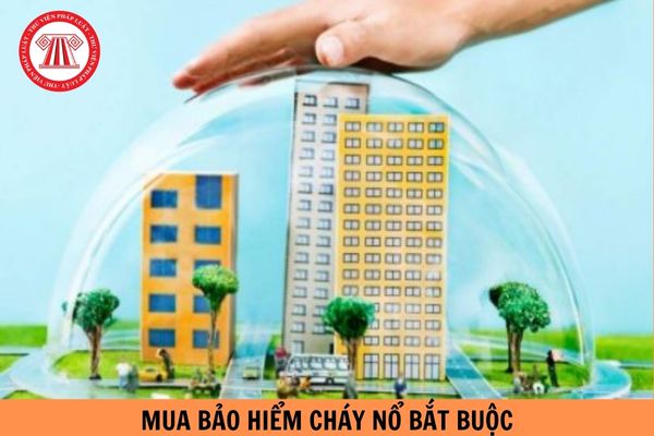 Tòa nhà văn phòng quy mô 5 tầng có bắt buộc phải mua bảo hiểm cháy nổ bắt buộc hay không?