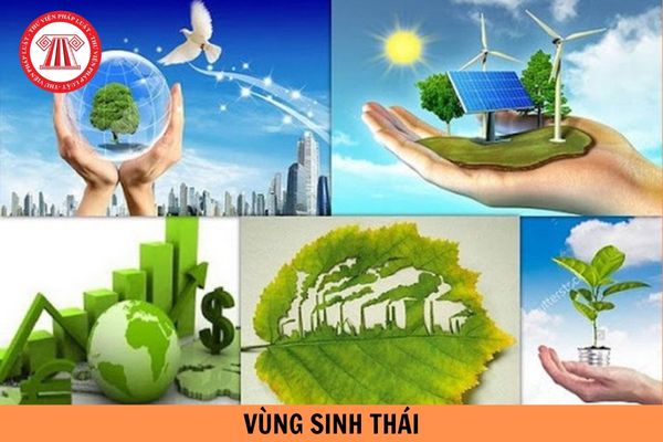 Quyết định 768/2016/QĐ-TTg xác định tỉnh nào là vùng sinh thái, bảo vệ môi trường cho Vùng Thủ đô Hà Nội?