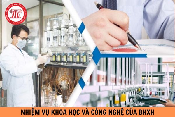 Mẫu PL6-HĐTH-HD hợp đồng thực hiện nhiệm vụ khoa học và công nghệ của bảo hiểm xã hội Việt Nam?
