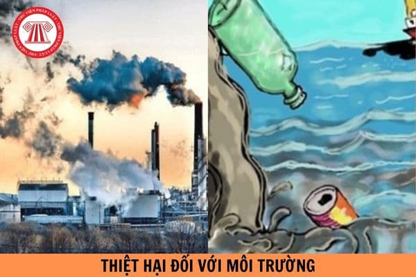 Văn bản gửi cơ quan yêu cầu bồi thường thiệt hại khi phát hiện môi trường có dấu hiệu bị ô nhiễm gồm các nội dung nào?