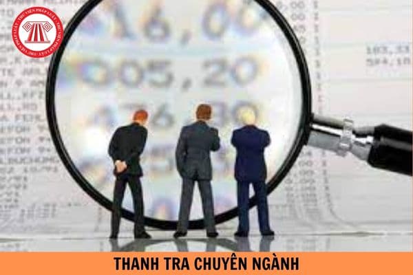 Ban hành Thông tư 29/2024/TT-BGTVT quy định về điều kiện, tiêu chuẩn của thanh tra chuyên ngành?