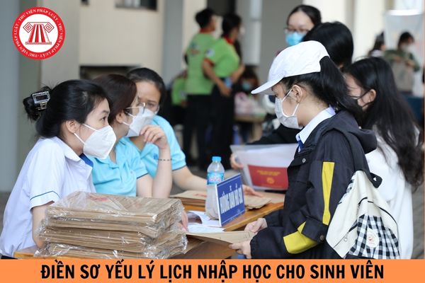 Cách điền sơ yếu lý lịch nhập học cho sinh viên 2024 chuẩn xác nhất?