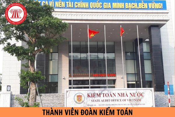 Nhiệm vụ, quyền hạn và trách nhiệm của thành viên Đoàn kiểm toán không phải Kiểm toán viên nhà nước là gì?