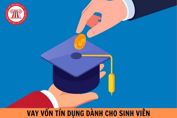 Mẫu số 05/TDSV giấy cam kết trả nợ vay vốn tín dụng dành cho sinh viên đại học hiện nay?