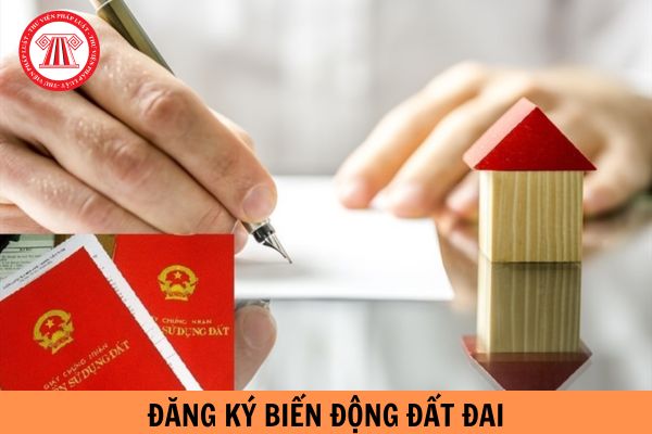 16 mốc thời gian thực hiện đăng ký biến động đất đai, cấp Giấy chứng nhận quyền sử dụng đất cần biết?