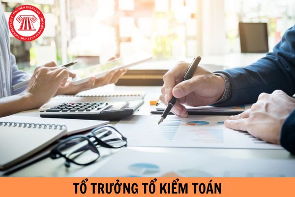 Tổ trưởng Tổ kiểm toán có những quyền hạn gì trong đoàn Kiểm toán Nhà nước?