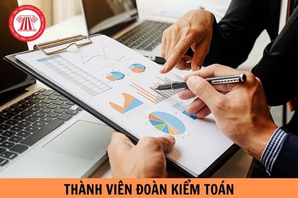 Thủ tục đề nghị thay thế thành viên Đoàn kiểm toán được quy định như thế nào?