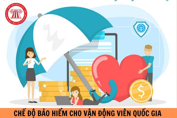 Chế độ bảo hiểm cho vận động viên quốc gia được quy định như thế nào? Tiền lương của vận động viên quốc gia hưởng lương từ ngân sách nhà nước gồm những khoản nào?