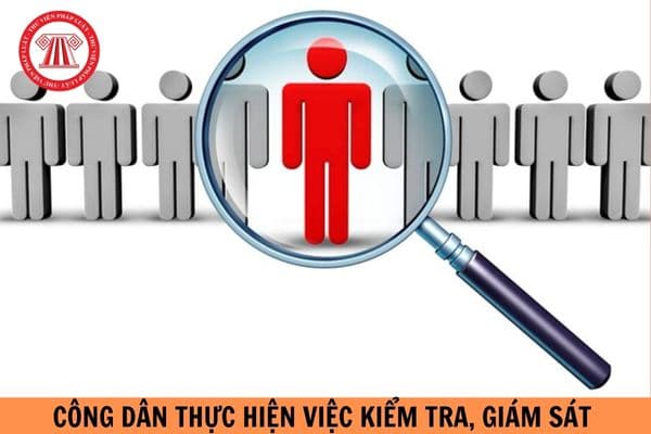 Theo Luật Thực hiện dân chủ ở cơ sở, công dân thực hiện việc kiểm tra, giám sát thông qua cơ quan, tổ chức nào?