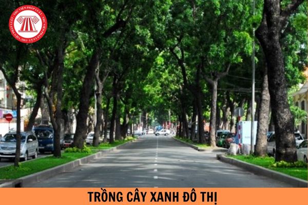 Tiêu chuẩn trồng cây xanh đô thị phải đúng kỹ thuật đúng không?