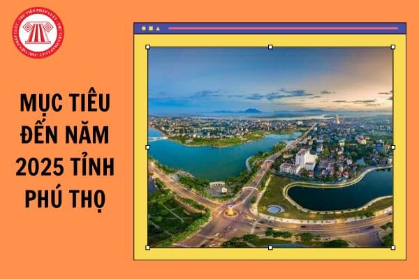 Mục tiêu đến năm 2025 tỉnh Phú Thọ tỷ lệ hồ sơ thủ tục hành chính được tiếp nhận và giải quyết trực tuyến của cấp sở, ban, ngành đạt bao nhiêu %?