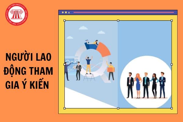 Nội dung nào cán bộ, công chức, viên chức, người lao động tham gia ý kiến trước khi người đứng đầu cơ quan, đơn vị quyết định?