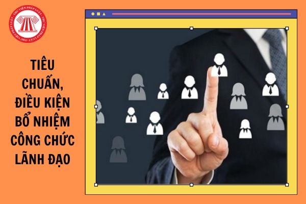 Quy định mới về tiêu chuẩn, điều kiện bổ nhiệm công chức lãnh đạo là gì?