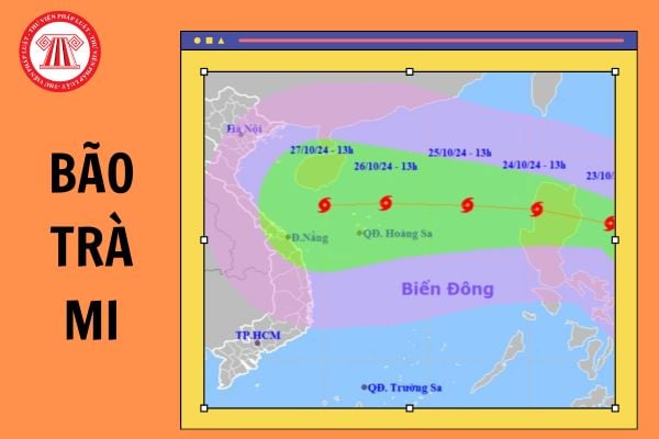 Bão Trà mi vào tỉnh/thành nào của Việt Nam? Bão TRAMI 2024 có mạnh không? Bão trà mi đang ở đâu?