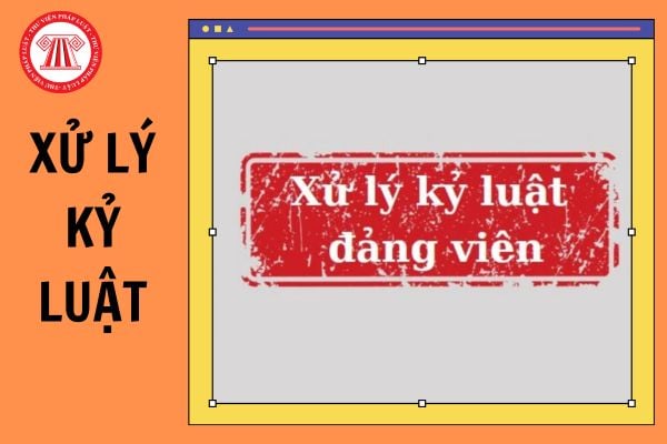 Xử lý kỷ luật đối với Đảng viên có con với người khác khi đang có gia đình như thế nào?