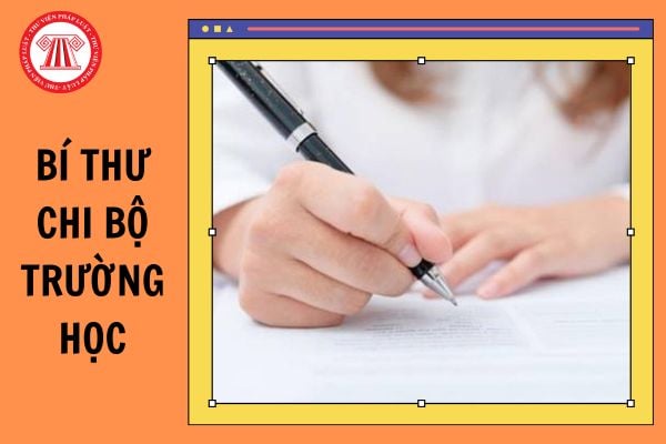 Bản kiểm điểm cá nhân Đảng viên của Bí thư chi bộ trường học 2024 mới nhất? Cách viết hạn chế, khuyết điểm và nguyên nhân trong bản kiểm điểm của Bí thư chi bộ trường học?