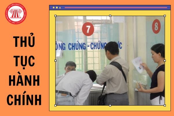 Tổ chức cá nhân được lựa chọn nộp bản sao giấy tờ và xuất trình bản chính để đối chiếu khi thực hiện thủ tục hành chính đúng không?