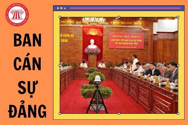 Ban cán sự đảng là gì? Cơ cấu nhân sự ban cán sự đảng ở Trung ương quy định theo pháp luật như thế nào?