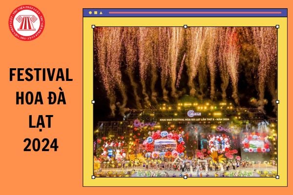 Festival hoa Đà Lạt 2024 lần thứ 10 diễn ra những sự kiện gì, tại đâu? Người lao động có được nghỉ làm vào ngày lễ hội Festival hoa Đà Lạt 2024?