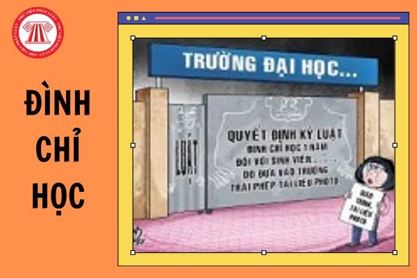 Sinh viên bị đình chỉ học có được đánh giá kết quả rèn luyện không?