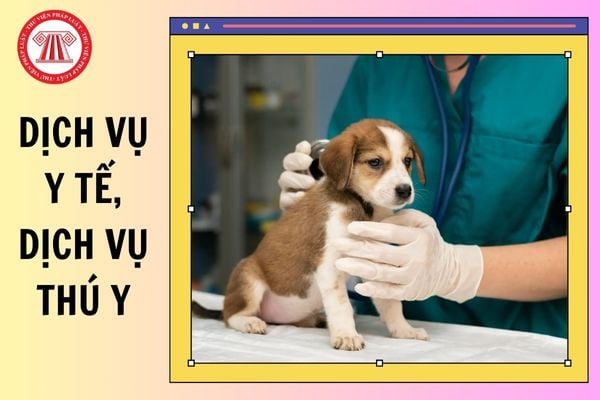 Dịch vụ y tế, dịch vụ thú y không chịu thuế từ 01/07/2025?