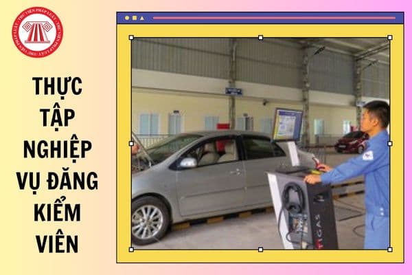 Thực tập nghiệp vụ đăng kiểm viên là gì? Quy định về thời gian và khối lượng thực tập nghiệp vụ đăng kiểm viên từ 01/01/2025?