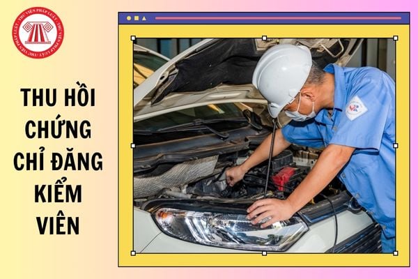 07 trường hợp thu hồi chứng chỉ đăng kiểm viên từ 01/01/2025?