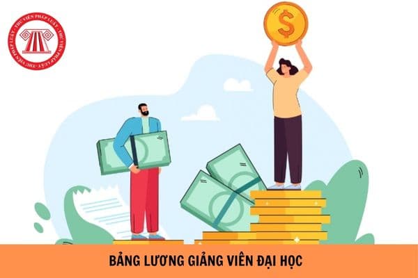 https://cdn.thuvienphapluat.vn//uploads/Hoidapphapluat/2024/NTKL/01072024/bang-luong-giang-vien-dai-hoc%20(1).jpg