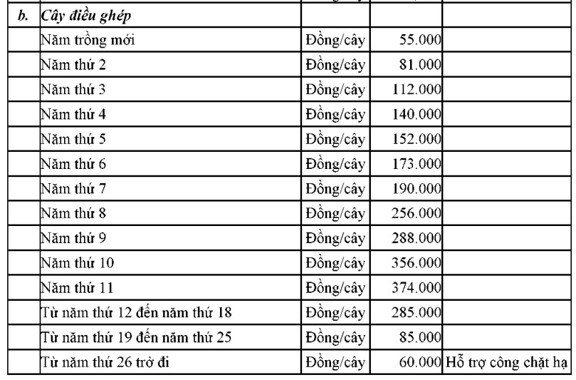 https://cdn.thuvienphapluat.vn//uploads/Hoidapphapluat/2024/NTKL/02112024/pluc12.jpg