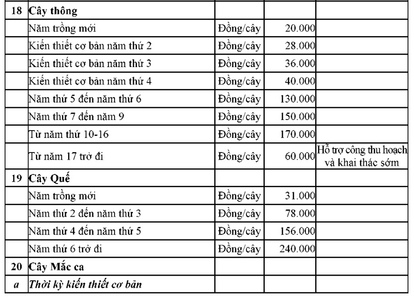 https://cdn.thuvienphapluat.vn//uploads/Hoidapphapluat/2024/NTKL/02112024/pluc14.jpg