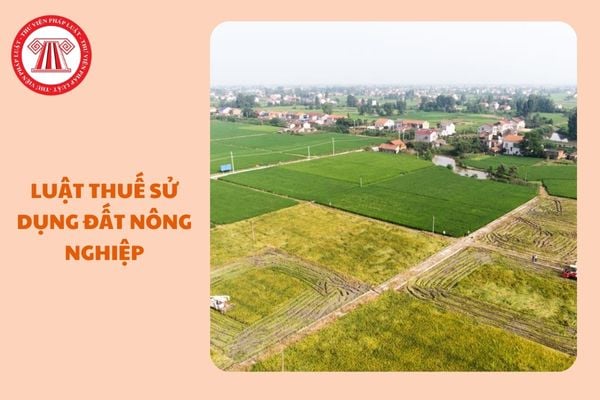 https://cdn.thuvienphapluat.vn//uploads/Hoidapphapluat/2024/NTKL/06122024/luat-thue-su-dung-dat-nong-nghiep%20(1).jpg