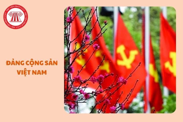 https://cdn.thuvienphapluat.vn//uploads/Hoidapphapluat/2024/NTKL/07122024/dang-cong-san-viet-nam.jpg