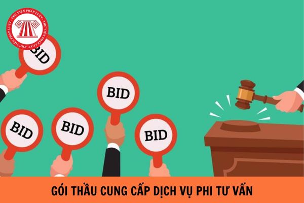 https://cdn.thuvienphapluat.vn//uploads/Hoidapphapluat/2024/NTKL/08052024/goi-thau-cung-cap-dich-vu-phi-tu-van.jpg