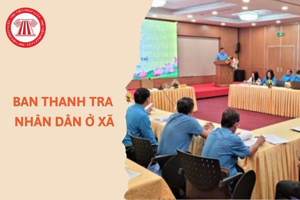 https://cdn.thuvienphapluat.vn//uploads/Hoidapphapluat/2024/NTKL/12092024/ban-thanh-tra.jpg