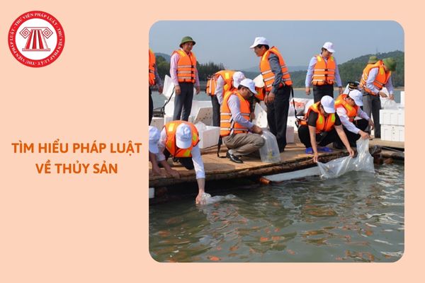 https://cdn.thuvienphapluat.vn//uploads/Hoidapphapluat/2024/NTKL/12102024/thuy-san.jpg