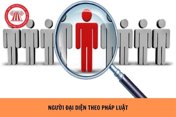 https://cdn.thuvienphapluat.vn//uploads/Hoidapphapluat/2024/NTKL/15052024/nguoi-dai-dien-theo-phap-luat.jpg