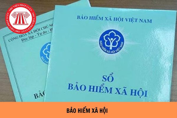 https://cdn.thuvienphapluat.vn//uploads/Hoidapphapluat/2024/NTKL/23072024/bao-hiem-xa-hoi.jpg