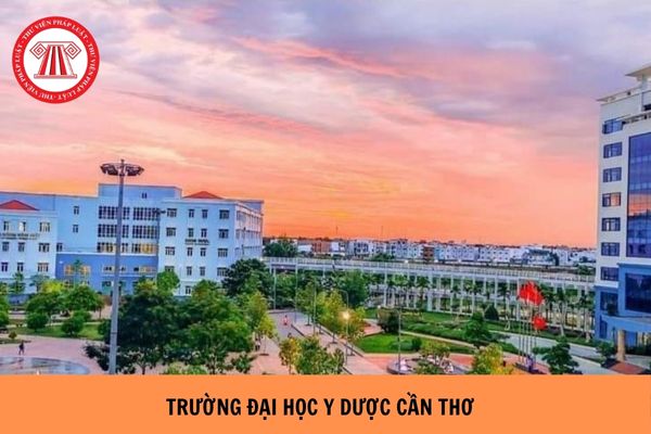 https://cdn.thuvienphapluat.vn//uploads/Hoidapphapluat/2024/NTKL/24082024/truong-dai-hoc-y-duoc-can-tho.jpg