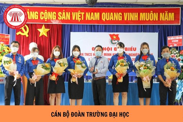 https://cdn.thuvienphapluat.vn//uploads/Hoidapphapluat/2024/NTKL/27082024/can-bo-doan.jpg