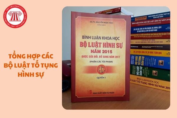 https://cdn.thuvienphapluat.vn//uploads/Hoidapphapluat/2024/NTKL/30112024/tong-hop-cac-bo-luat-to-tung-hinh-su.jpg