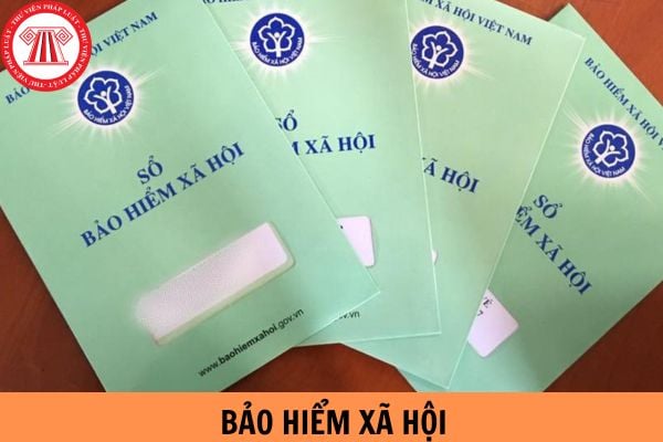 Mức xử phạt tội gian lận bảo hiểm xã hội năm 2024 như thế nào?