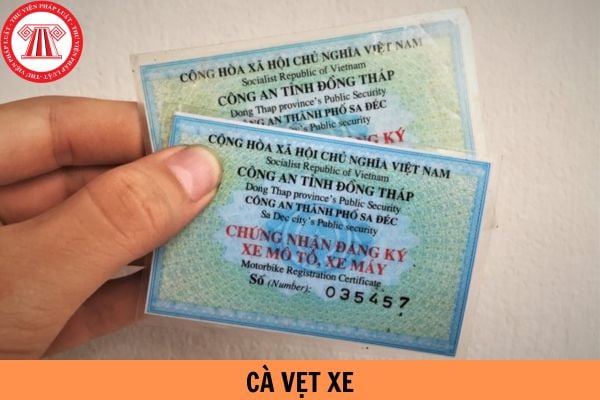 Cà vẹt xe là gì? Mức phạt hành chính khi không có cà vẹt xe là bao nhiêu?