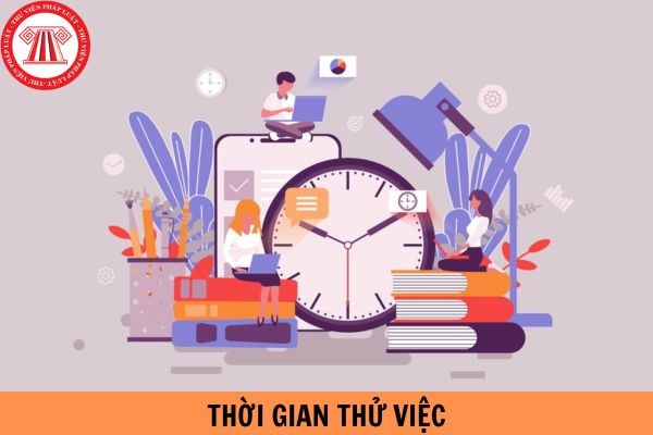 Thời gian thử việc tối đa của người lao động năm 2024 là bao nhiêu?