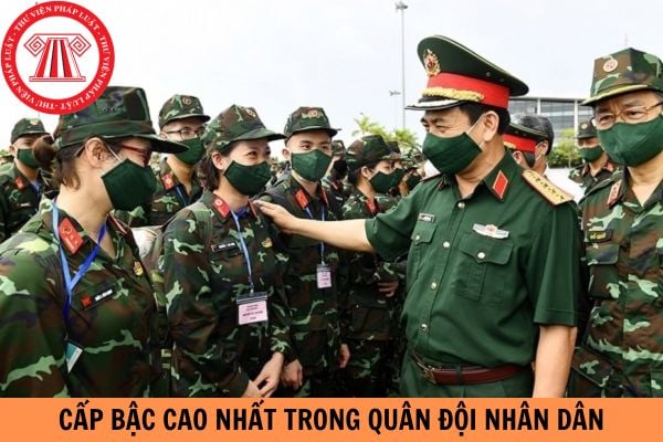 Cấp bậc cao nhất trong Quân đội nhân dân là cấp gì?