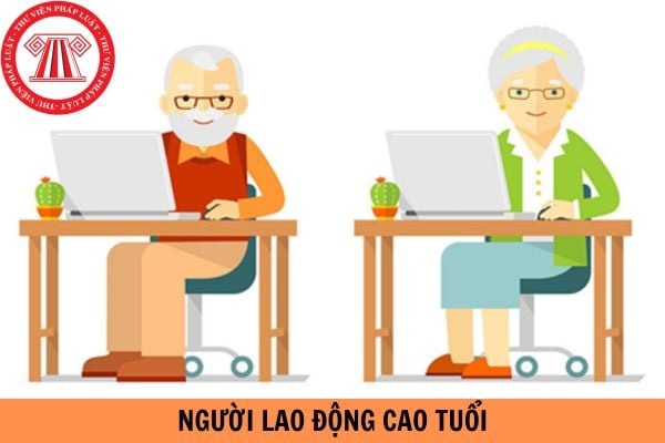 Người lao động cao tuổi có được giảm giá vé máy bay dịp tết âm lịch không?