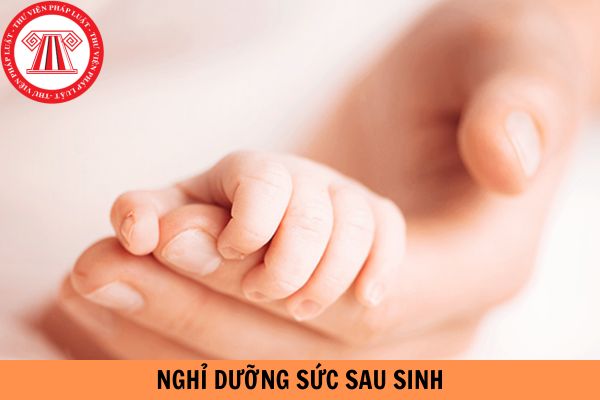 Mẫu đơn xin nghỉ dưỡng sức sau sinh mới nhất năm 2024?