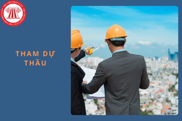 Nhà thầu đang nợ chủ đầu tư có hợp lệ để tham dự thầu không?