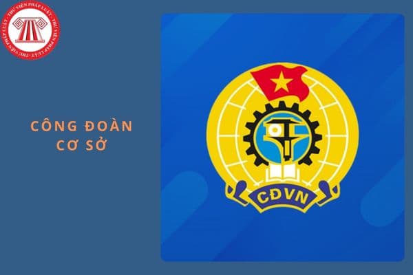 Kế toán công đoàn, thủ quỹ công đoàn cơ sở có được hưởng phụ cấp không?