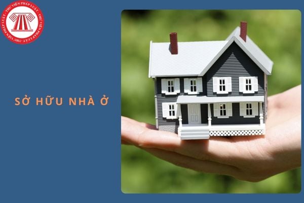 Việt kiều là gì? Việt kiều có được sở hữu nhà ở tại Việt Nam không?